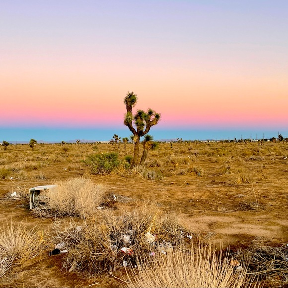 Meet your Posher, Stacey - Picture 1 of 1